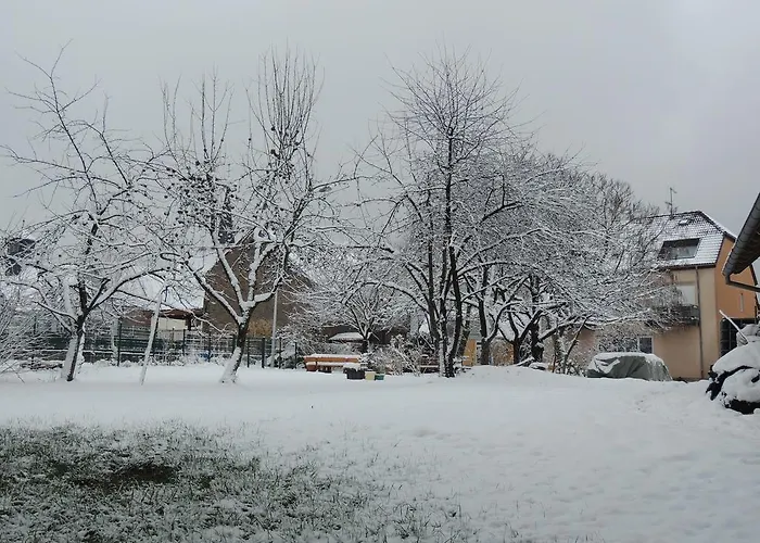 Aux Deux Clefs ホテル Petersbach